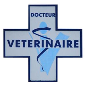 SELARL Vétérinaires de la Seudre